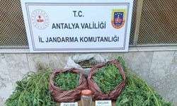 Korkuteli’nde 11,5 kilo skunk ele geçirildi