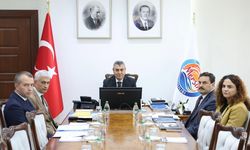 Mersin’de 53 anıt ağaç bulunuyor