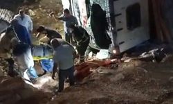 Sürücüsünün kontrolünü kaybettiği kamyon uçurumdan yuvarlandı