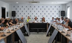 Akkuyu NGS Uzmanları ve Bölgenin Sağlık Kuruluşlarının Temsilcileri, İş Birliği İçin Bir Araya Geldi
