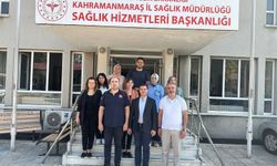 İl Sağlık Müdürlüğü ve TİTCK Arasında İç Tetkik Faaliyeti Gerçekleştirildi