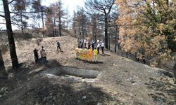 Kahramanmaraş'ta Yanan Ormanlık Alanlar Fidanlarla Buluşturulacak