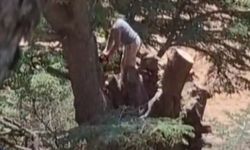 Ormanlık Alanda Ağaç Kesen 2 Kişi Yakalandı