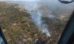 Şırnak'ta orman ve örtü yangını