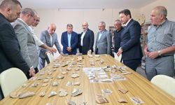 Türkoğlu Domuztepe Höyüğü'nde Kültürel Miras Gün Yüzüne Çıkıyor