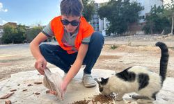 Afşin Ülkü Ocakları'ndan Sokak Hayvanlarına Mama ve Su Desteği