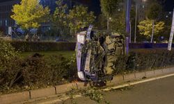 Ağacı devirip yan yattı, yara almadan kurtuldu