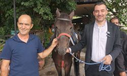 16. Manavgat-Side Geleneksel Rahvan At Yarışları 12 Ekim'de yapılacak