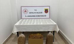 Antalya'da jandarmadan kaçak tütün operasyonu