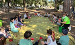 Antalya'da minik öğrenciler zeytin hasadına katılıyor
