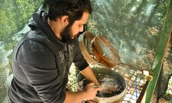 Direkli Mağarası'nda yaklaşık 13 bin yıllık delici el aleti ve boncuklar bulundu