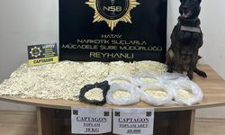 Hatay'da 60 bin uyuşturucu hap ele geçirildi