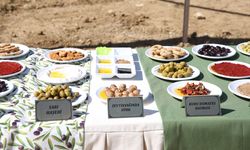 Hatay'da 9. Zeytin, Zeytinyağı ve Gastronomi Festivali başladı
