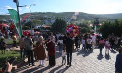 Hatay'da 9. Zeytin, Zeytinyağı ve Gastronomi Festivali konserlerle tamamlandı