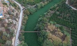 Hatay'da Asi Nehri'ni yeniden su sümbülleri kapladı