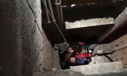 Hatay'da binanın havalandırma boşluğuna düşen kediyi itfaiye ekipleri kurtardı