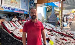 Hatay'da teknenin halatına dolanan köpek balığı kamerada