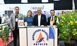 Kaleiçi Evleri Projesine 'Turizm Tasarım Ödülü' verildi