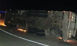 Kaş'ta devrilen tomruk yüklü kamyonun sürücüsü yaralandı