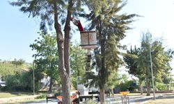Kepez'de park yenileme ve düzenleme çalışması yapıldı