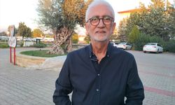 Manavgat'ta köyden ilçe merkezine götürülen asırlık zeytin ağacında hasat yapıldı