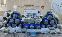 Mersin'de 220 kilogram esrar ve 1 kilogram kokain ele geçirildi