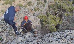 Mersin'de kayalıklarda mahsur kalan 2 keçi kurtarıldı