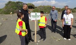 Mersin'de kum zambaklarının yetiştiği sahile uyarı tabelası konuldu
