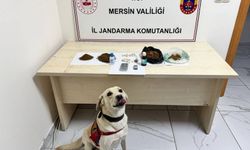 Mersin'de uyuşturucu operasyonunda yakalanan 5 zanlı tutuklandı