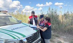 Mersin'de yasa dışı olarak mavi yengeç avlayan 2 şüpheli yakalandı