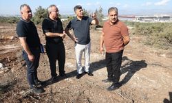 Mersin'in Akdeniz ilçesinde sahipsiz hayvanlar için 'doğal yaşam alanı' kuruluyor