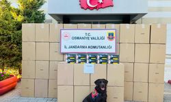Osmaniye'de 1 milyon 250 bin makaron ele geçirildi