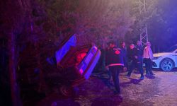 Osmaniye'de ağaca çarpan otomobildeki 3 kişi yaralandı