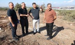 Akdeniz Belediyesinden sokak hayvanları için doğal yaşam alanı