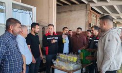 Akdeniz meyve sineği ile mücadele sürüyor