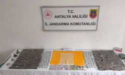 Alanya’da uyuşturucu operasyonu: 2 tutuklama