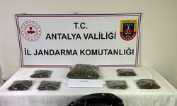 Alanya’da uyuşturucu operasyonu: 800 gram uyuşturucu ele geçirildi