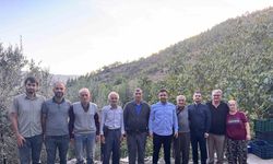 Antalya’da coğrafi işaretli çekirdeksiz narın hasadı başladı