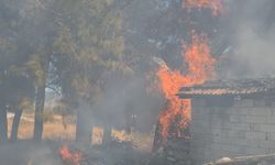 Bucak’ta odunlukta çıkan yangın korkuttu