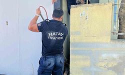 Duvar ile konteyner arasında sıkışan köpeği itfaiye kurtardı