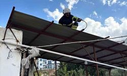 Hatay’da eve giren 2 yılanı itfaiye yakaladı