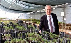 Kepez’den kurakçıl peyzaj hamlesi