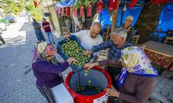 Mersin’de üreticiye ceviz soyma makinesi desteği