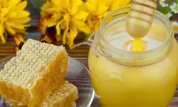 Kraliçe arıyı uzun yaşatan Arı Sütü, insanlar için de sağlık kalkanı