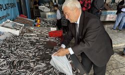 Denizlerde balık bolluğu: Hamsinin fiyatı 89 liraya düştü
