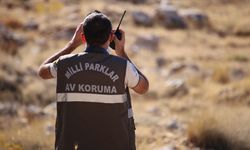 Doğa Koruma ve Milli Parklar Genel Müdürlüğü 240 Sözleşmeli Personel Alacak