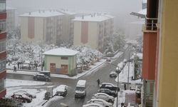 Erzurum'a ekim ayında kar yağdı