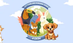 4 Ekim ne günü? Hayvanları Koruma Günü nedir?