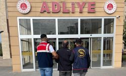 Jandarmadan Suçlulara Geçit Yok: 294 Şahıs Yakalandı