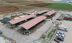 Kahramanmaraş'ta Hayvan Pazarları 13 Ekim'de Yeniden Açılıyor